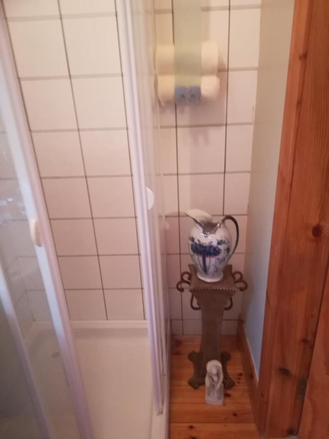 Stay With Your Pet Killarney Buitenkant foto