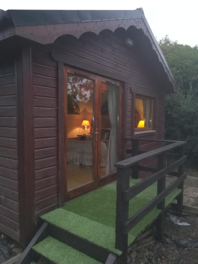 Stay With Your Pet Killarney Buitenkant foto