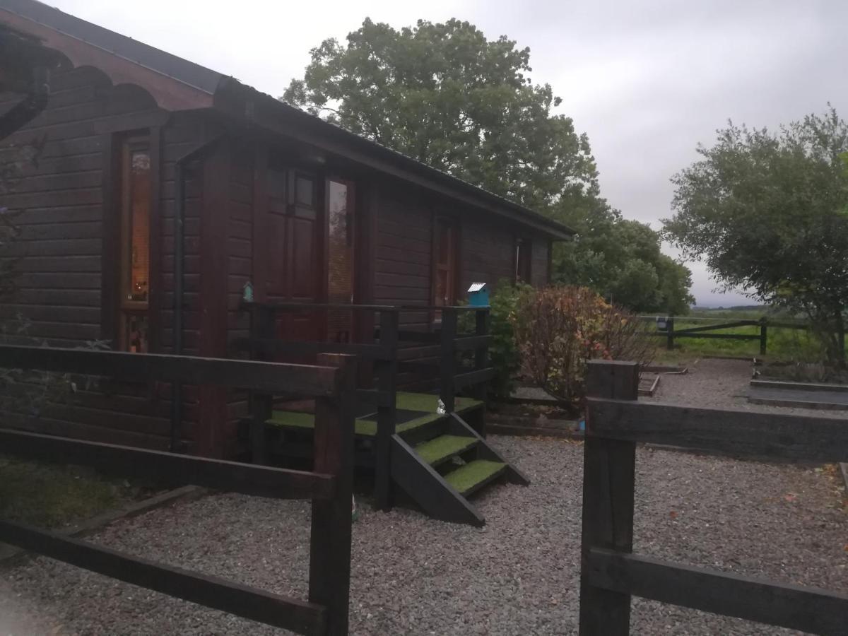 Stay With Your Pet Killarney Buitenkant foto
