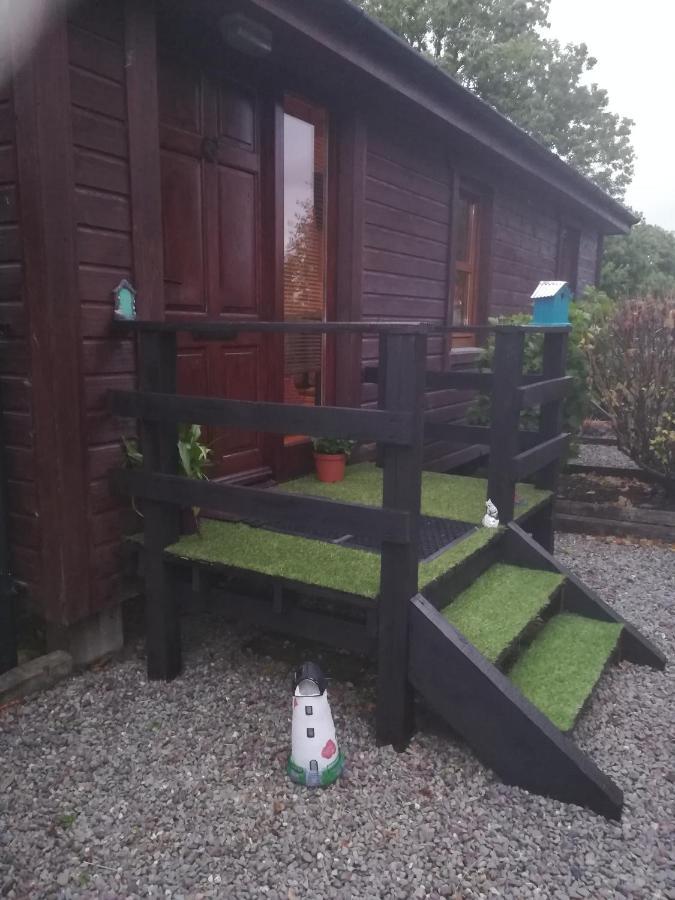 Stay With Your Pet Killarney Buitenkant foto