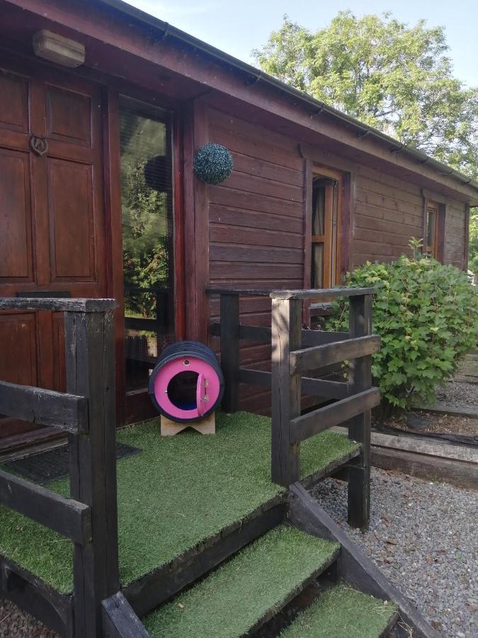 Stay With Your Pet Killarney Buitenkant foto