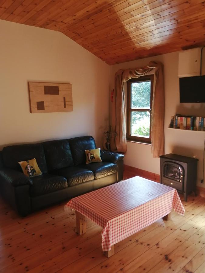 Stay With Your Pet Killarney Buitenkant foto