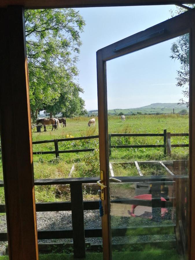 Stay With Your Pet Killarney Buitenkant foto