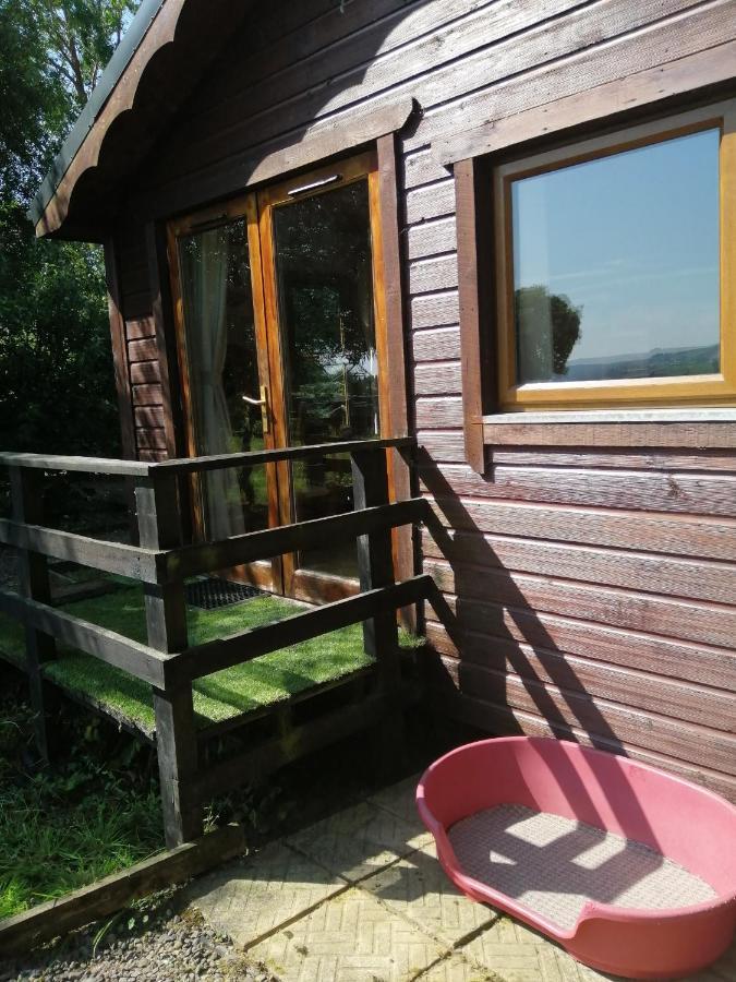 Stay With Your Pet Killarney Buitenkant foto