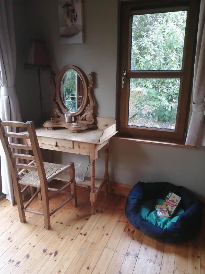 Stay With Your Pet Killarney Buitenkant foto